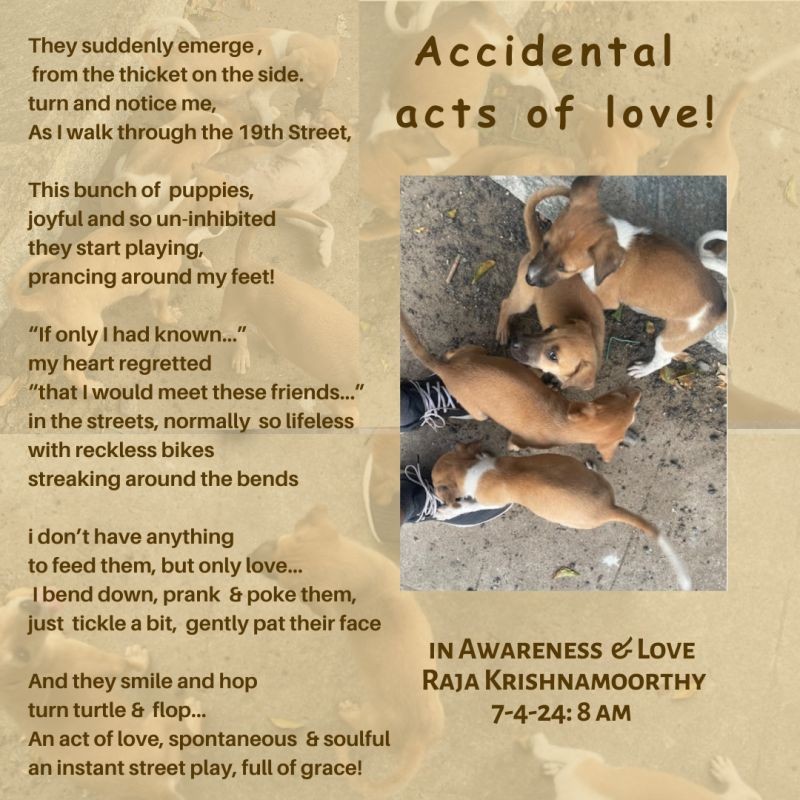 Accidental Acts of Love